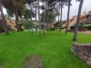 Image 12 - Outside