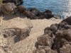 Bilde 2