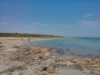 Bild 46 - Ude
