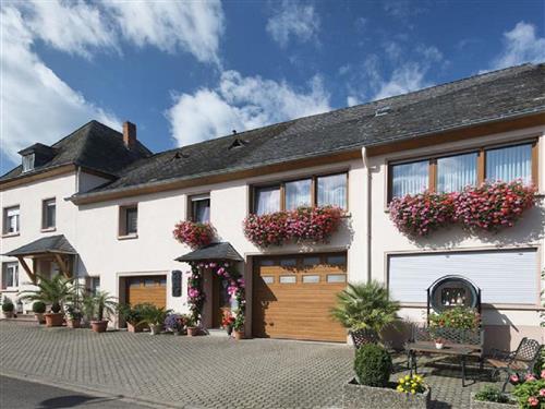 Ferielejlighed - 2 personer -  - Artenweg - 54349 - Trittenheim