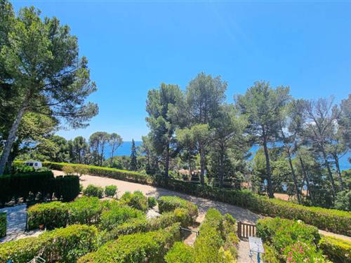 Holiday apartment - 4 persons -  - 83700 - Saint-Raphael