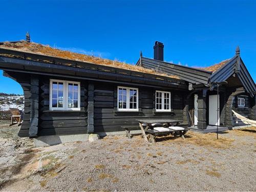 Fritidshus - 8 personer -  - Brattsbergskleiva - Gautefall - 3750 - Drangedal