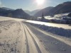 Bild 64