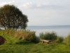 Image 16