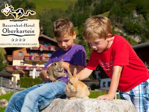 Bondegård - 4 personer -  - Karteis - 5612 - Hüttschlag