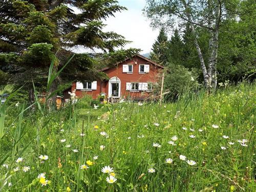 Semesterhus/Semesterlägenhet - 7 personer -  - Thurgüetliweg - 9658 - Wildhaus