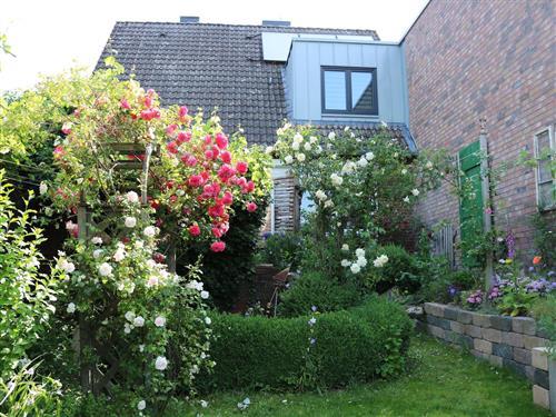 Ferienhaus - 4 Personen -  - Haferkamp - 29640 - Schneverdingen