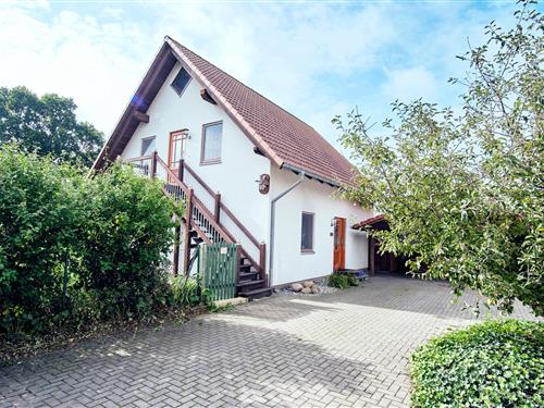 Semesterhus/Semesterlägenhet - 5 personer -  - Dorfstraße - 18356 - Fuhlendorf - Ostsee