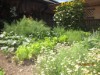 Image 11 - Outside