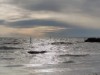 Bild 27 - Blick über's Wasser