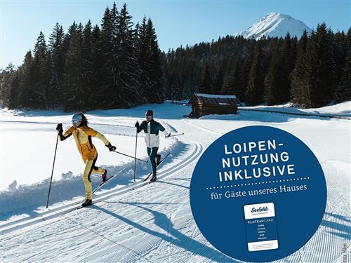 Ferielejlighed - 2 personer -  - Innsbruckerstr. - 6108 - Scharnitz