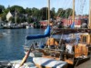 Bilde 4