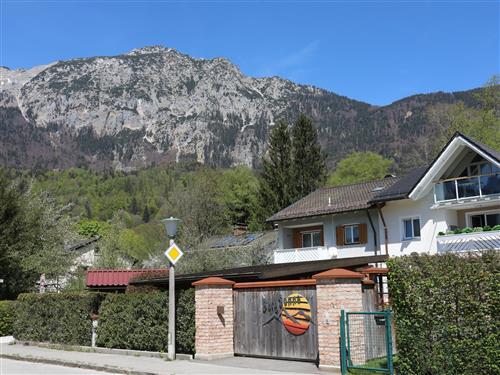 Feriehus / leilighet - 4 personer -  - Hainbuchenplatz - 83435 - Bad Reichenhall