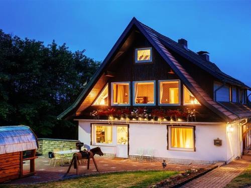 Feriehus - 12 personer -  - 38700 - Hohegeiß