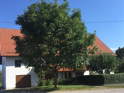 Feriehus / leilighet - 5 personer -  - Schäfergasse - 88459 - Tannheim