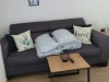Bild 17