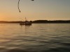 Billede 28