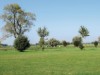 Bilde 5