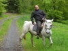 Bild 16
