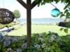 Billede 16