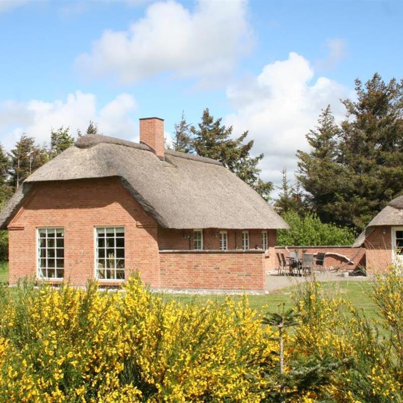 Sommerhus - 4 personer -  - Blåbærvej - Vedersø Klit - 6990 - Ulfborg