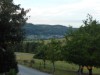 Bild 24