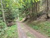 Bild 41 - Ude