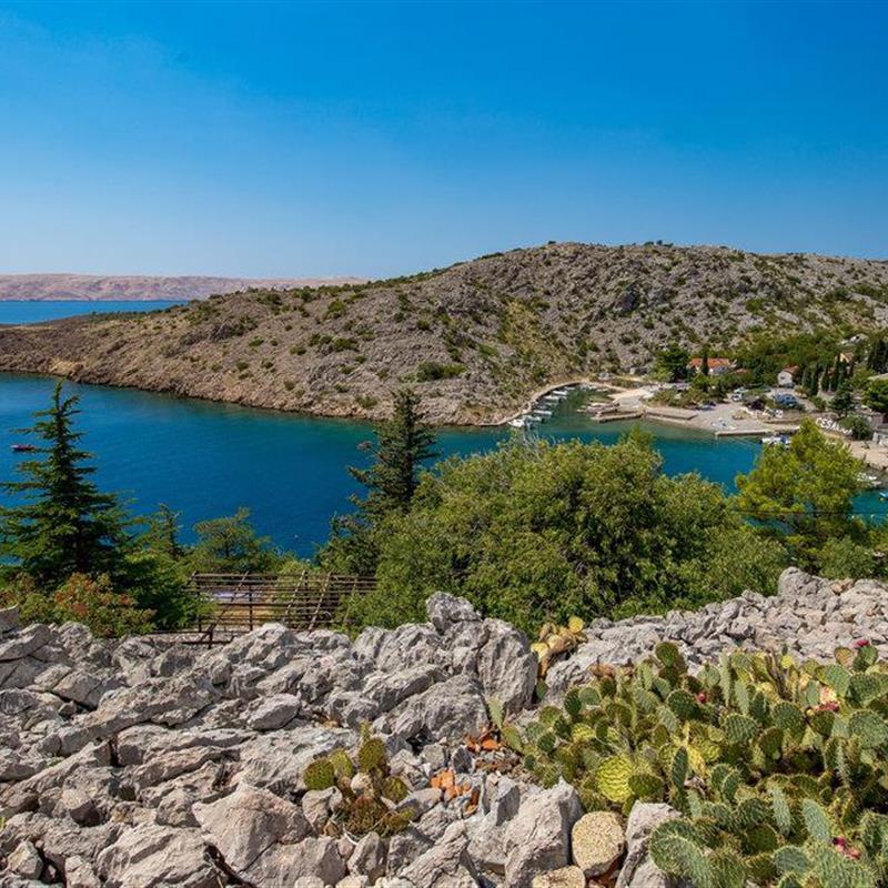 Sommerhus - 4 personer -  - Orlovaca - Karlobag-Cesarica - 53288 - Cesarica