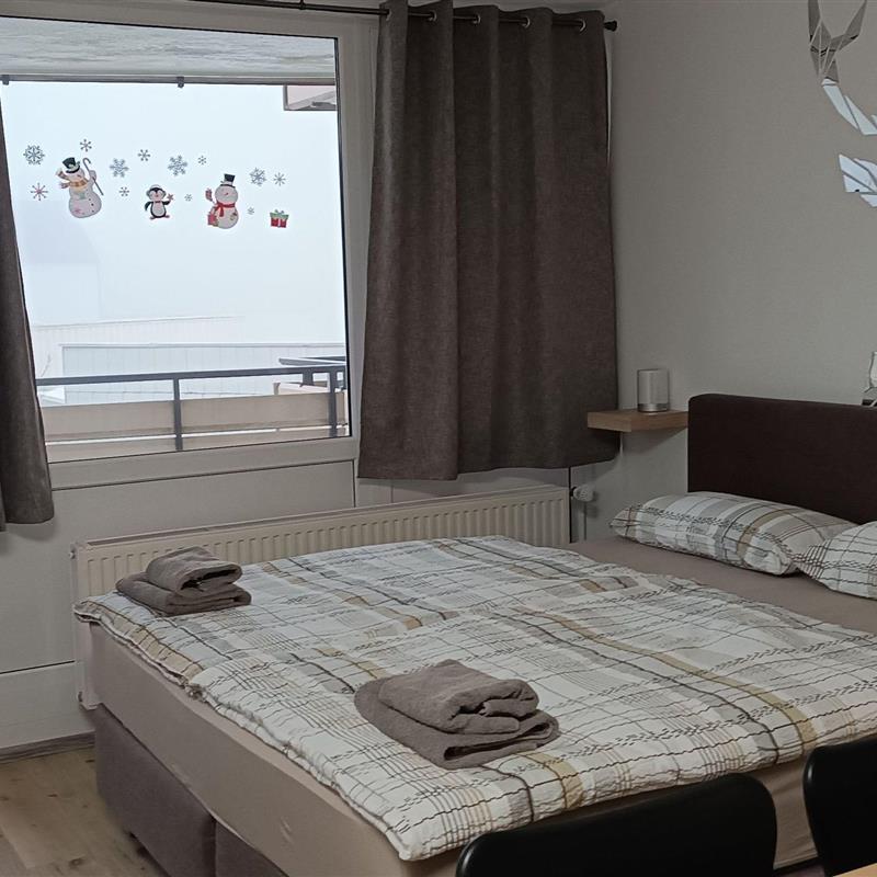 Ferielejlighed - 2 personer -  - Sankt Englmar - 94739