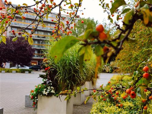 Ferielejlighed - 2 personer -  - Plac Slowianski - 72-600 - Swinoujscie-Swinemünde