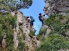 Billede 7