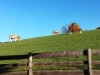 Bilde 4