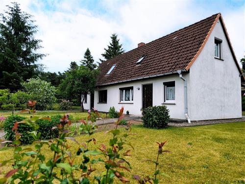 Holiday home - 4 persons -  - Neue Straße - 17214 - Nossentiner Hütte