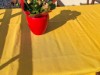 Bild 18 - Aussen