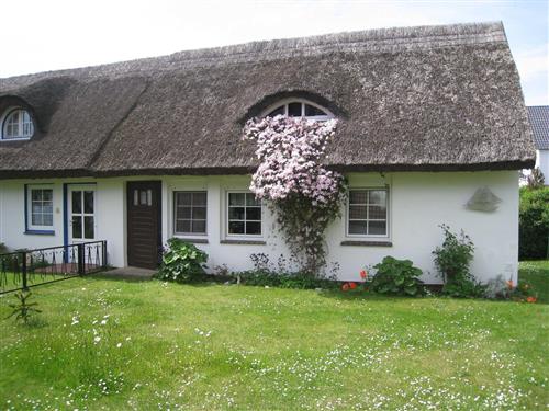 Ferienhaus - 4 Personen -  - Mühlberg - 18565 - Hiddensee / Kloster