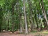 Image 14