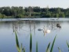 Bild 17