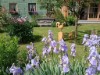Bild 10