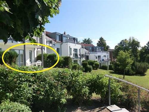 Feriehus / leilighet - 4 personer -  - Heimweg 10 Whg. - 17454 - Zinnowitz