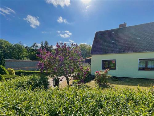 Sommerhus - 5 personer -  - Am Flachsee - 17194 - Grabowhöfe