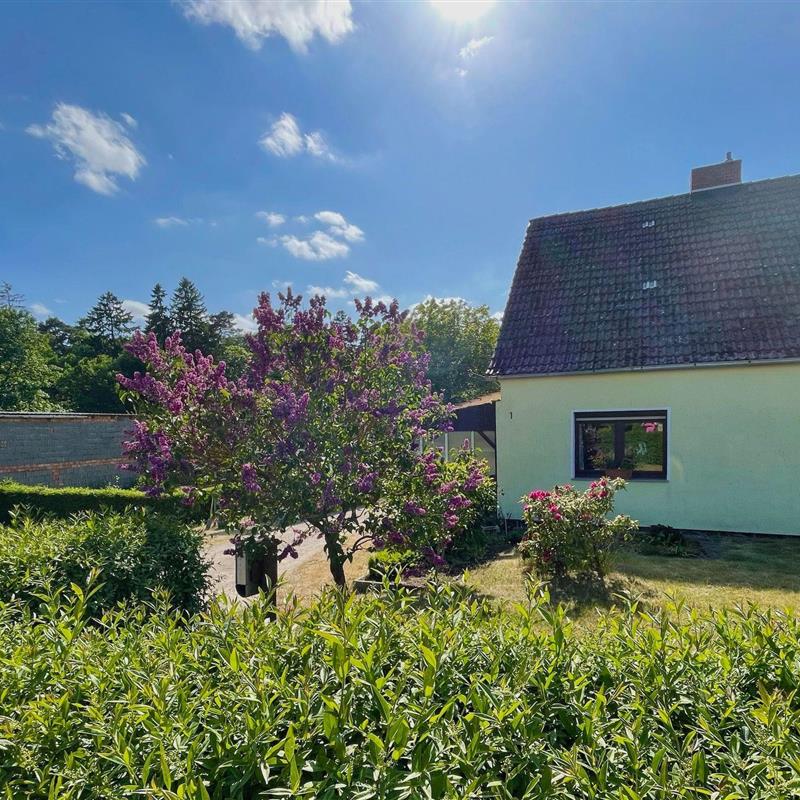 Sommerhus - 5 personer -  - Am Flachsee - 17194 - Grabowhöfe