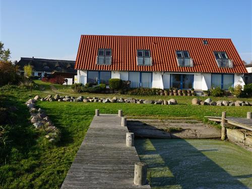 Feriehus - 4 personer -  - Am Schilf - 17440 - Krummin