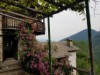 Bild 24