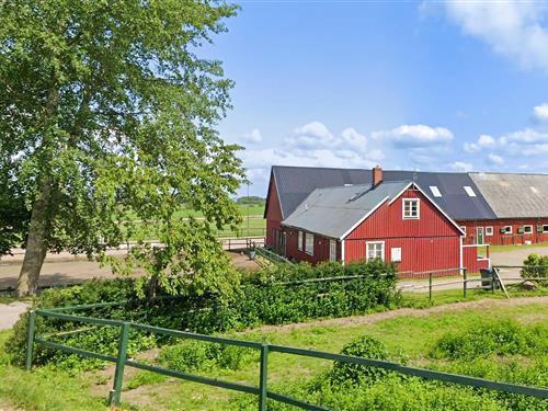 Holiday Home/Apartment - 4 persons -  - Rävinge Gård - Rävinge/Halmstad - 305 77 - Getinge