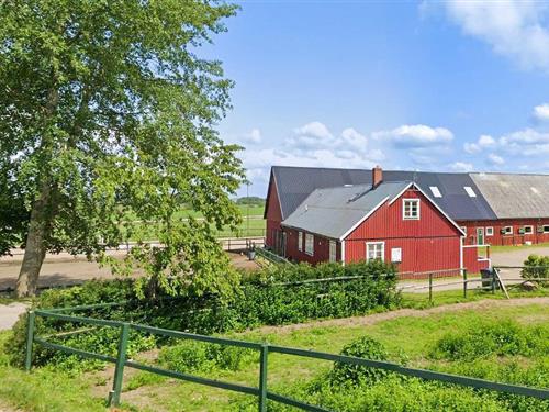 Ferienwohnung - 4 Personen -  - Rävinge Gård - Rävinge/Halmstad - 305 77 - Getinge