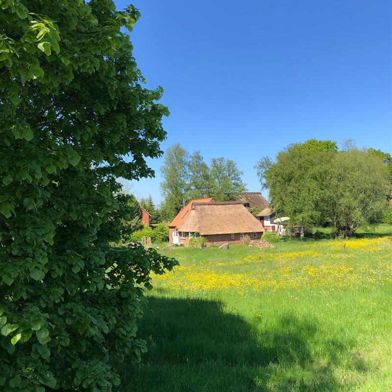 Sommerhus - 4 personer -  - Birkensteg - 24340 - Goosefeld