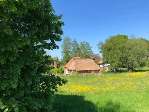 Feriehus - 4 personer -  - Birkensteg - 24340 - Goosefeld