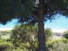Bilde 5