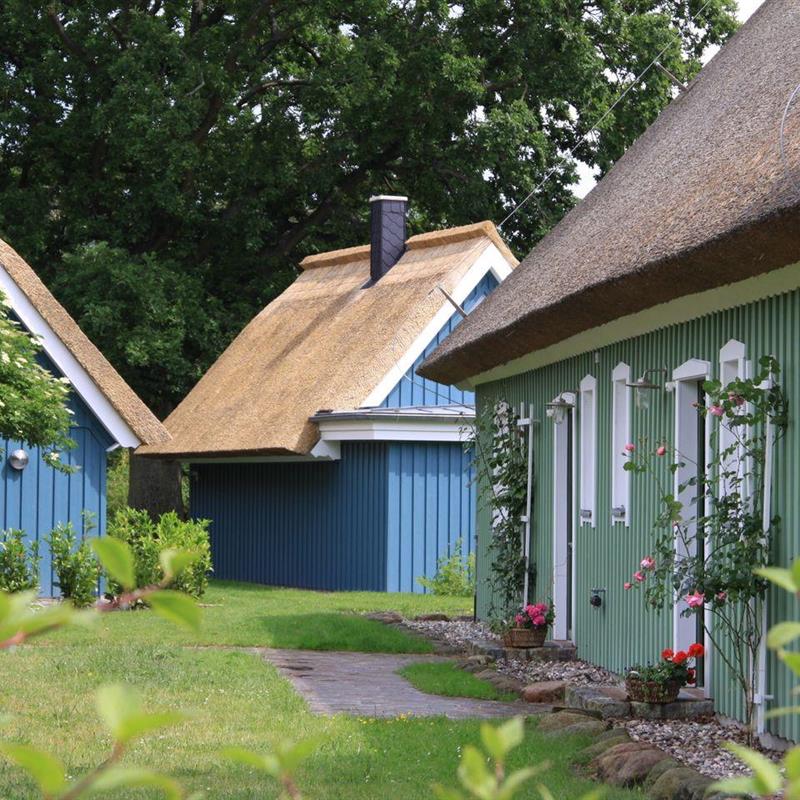 Ferielejlighed - 4 personer -  - Trommelplatz - 18375 - Wieck A. Darß