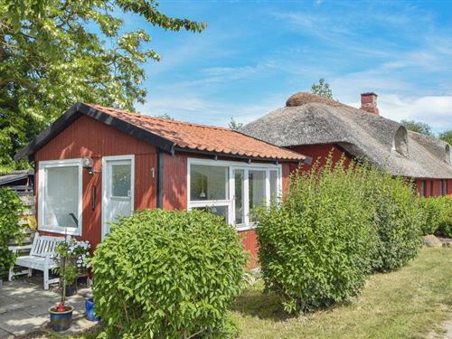 Ferienhaus - 4 Personen -  - Østrupvej - Pöt - 7130 - Juelsminde